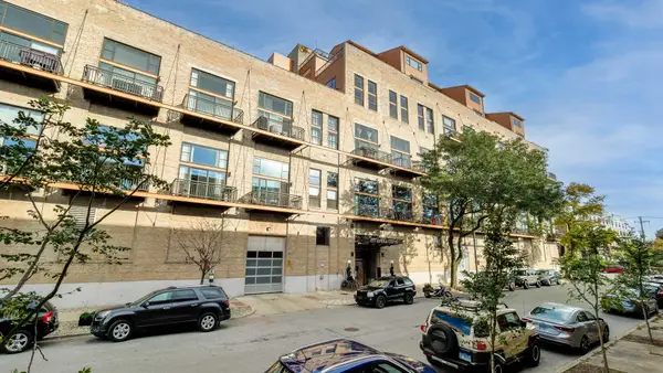 2545 S Dearborn Street #309, Chicago, IL 60616