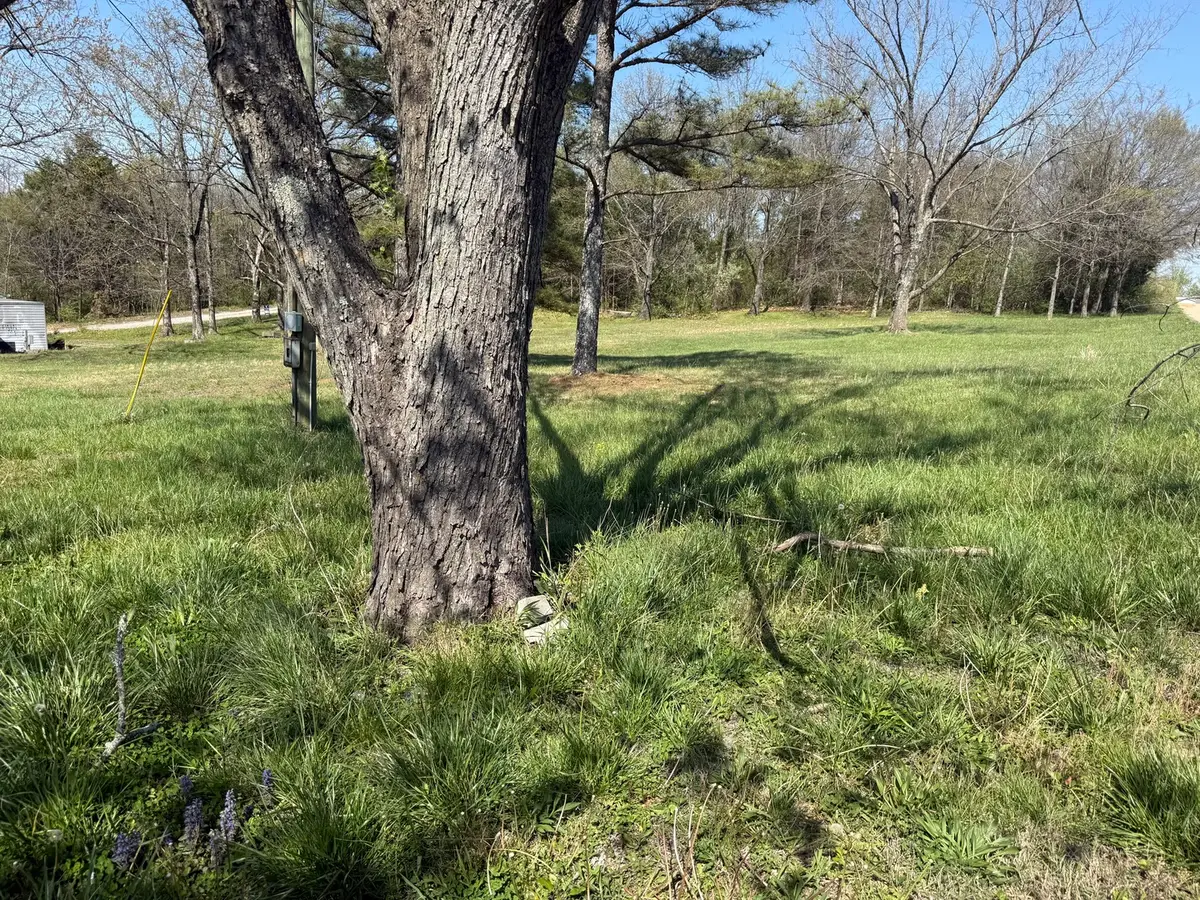 110 Cherokee Drive, Goreville, IL 62939 - #1