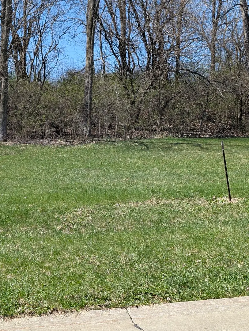 3410 Shadow Wood Court, Milan, IL 61264 - #3