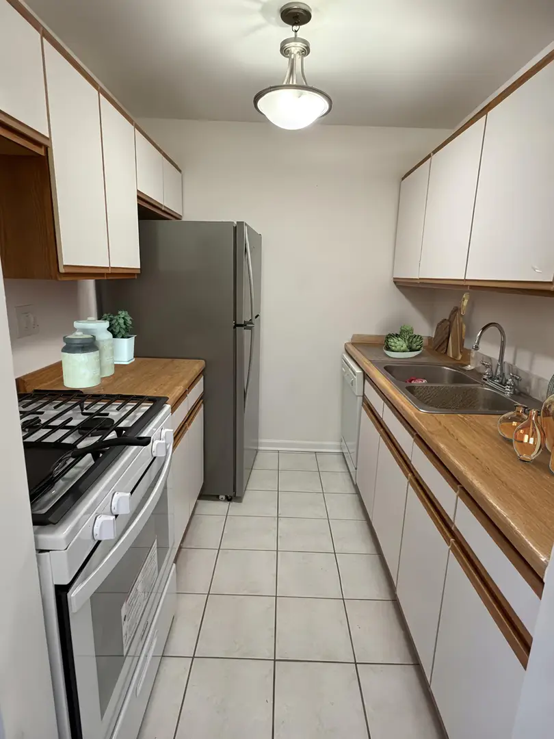 10037 S Walnut Terrace #312, Palos Hills, IL 60465 - #2