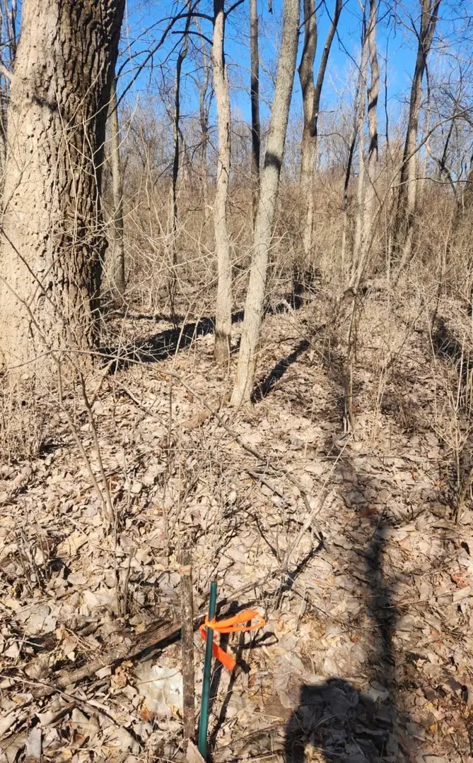 Address Withheld By Seller, Putnam, IL 61560 - #3