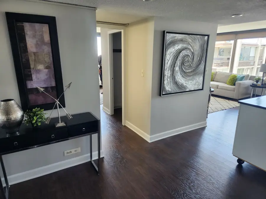 1355 N Sandburg Terrace #2909d, Chicago, IL 60610 - #2