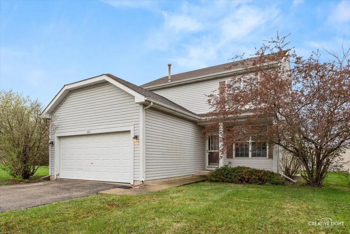 443 Grape Vine Trail, Oswego, IL 60543 - #1