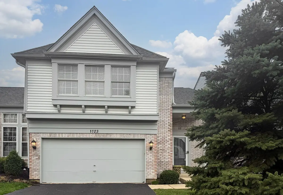 1723 Napoleon Drive, Naperville, IL 60565 - #1