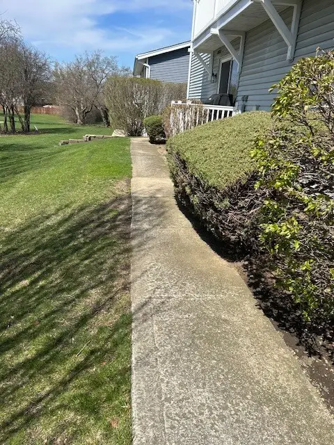 185 College Drive #B, Bloomingdale, IL 60108 - #3