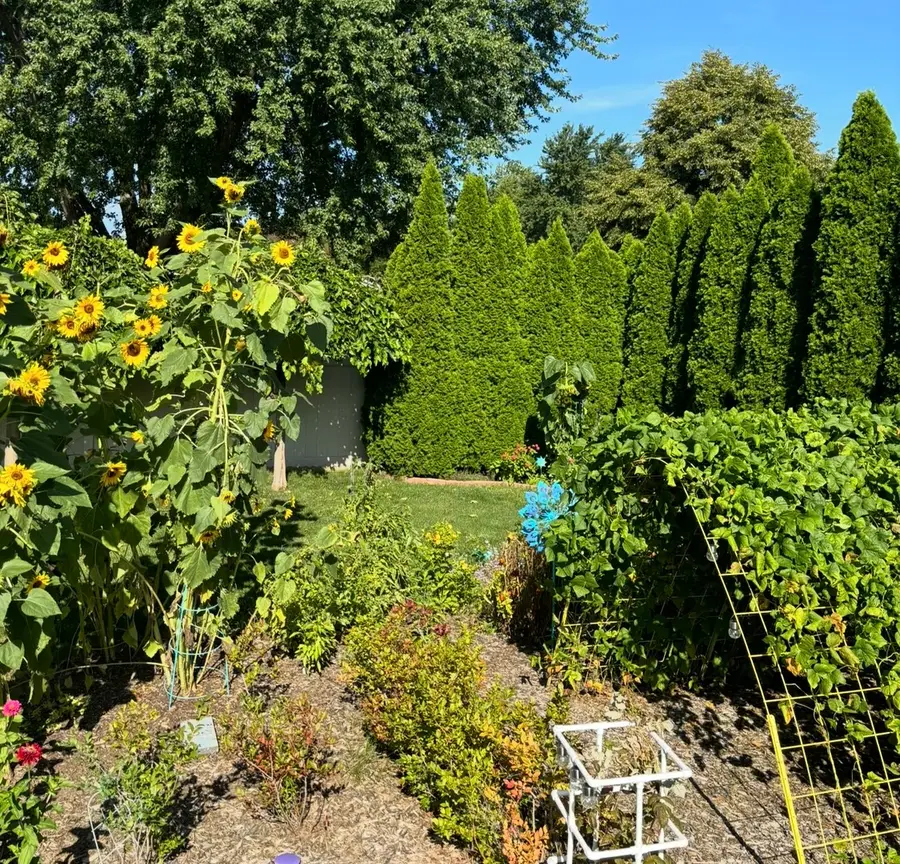 856 Quail Drive, Bradley, IL 60915 - #3