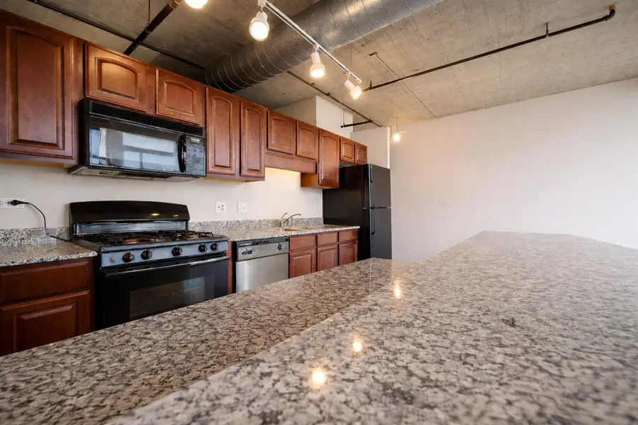 1550 S Blue Island Avenue #721, Chicago, IL 60608 - #3