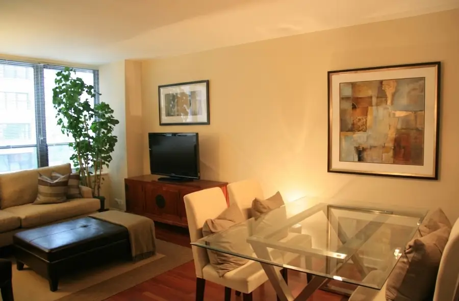 222 E Pearson Street #503, Chicago, IL 60611 - #2