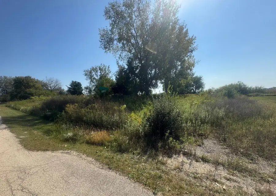 Vacant Helen Street, Garden Prairie, IL 61038 - #3