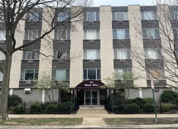 201 S Maple Avenue #304, Oak Park, IL 60302