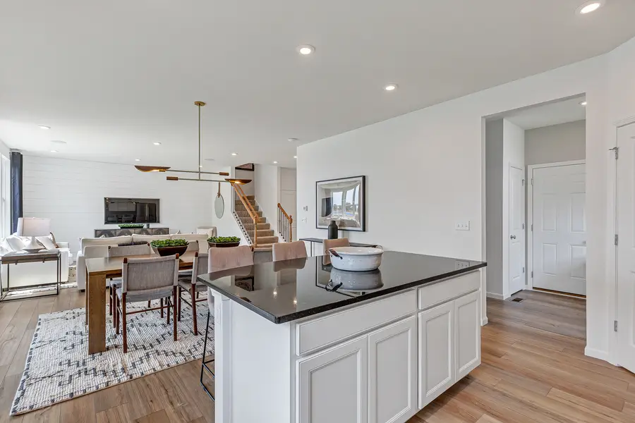 24642 W Alexis Lane, Plainfield, IL 60585 - #3