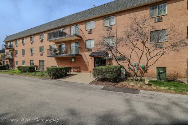 1052 N Mill Street #303, Naperville, IL 60563