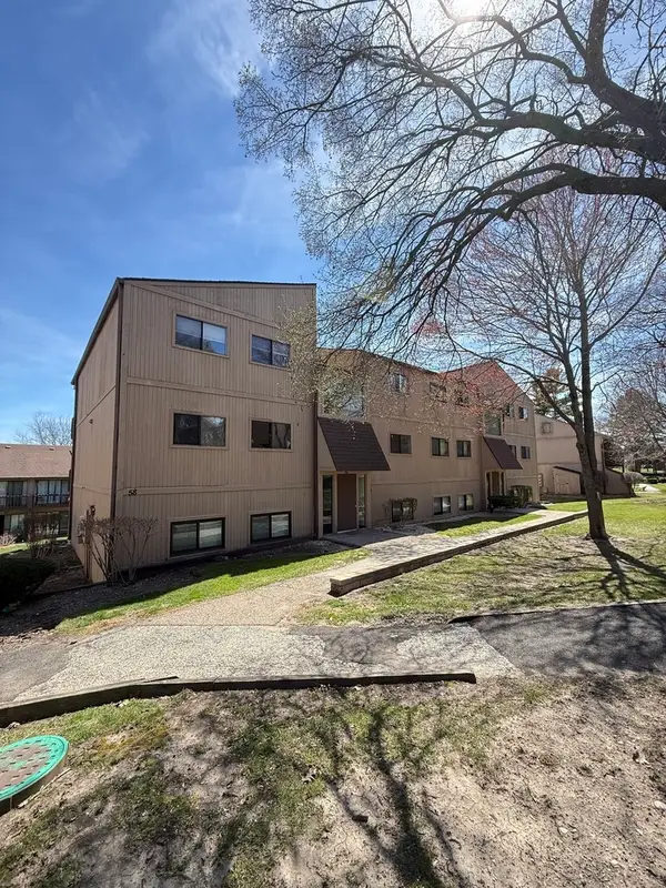 58 Vail Colony #9, Fox Lake, IL 60020