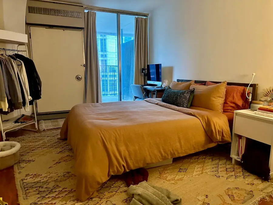 300 N State Street #2411, Chicago, IL 60654 - #3