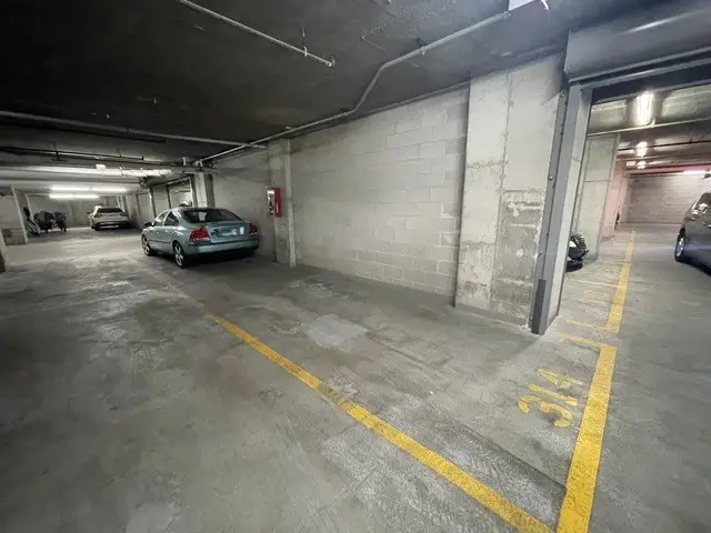 801 S Plymouth Court #P-314, Chicago, IL 60605 - #3