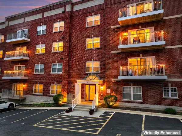 245 W Johnson Street #302, Palatine, IL 60067