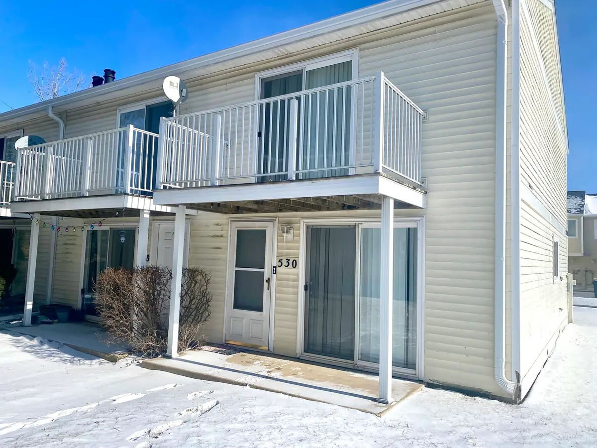 530 Meadow Green Lane #530, Round Lake Beach, IL 60073 - #1