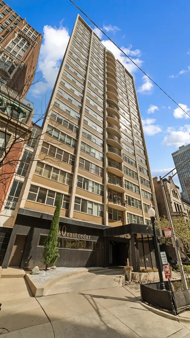 40 E Cedar Street #18A, Chicago, IL 60611 - #1