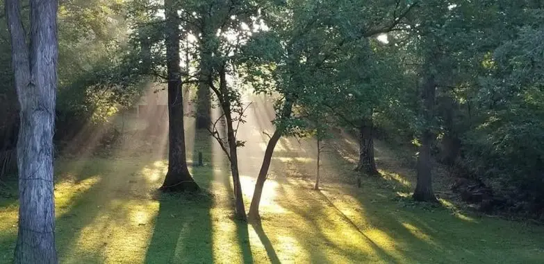 9215 S 83rd Avenue, Hickory Hills, IL 60457 - #2