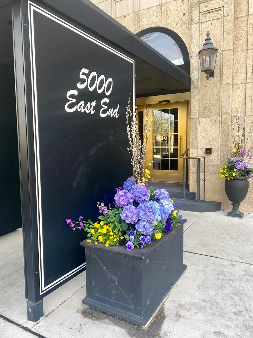 5000 S East End Avenue #4D, Chicago, IL 60615 - #3
