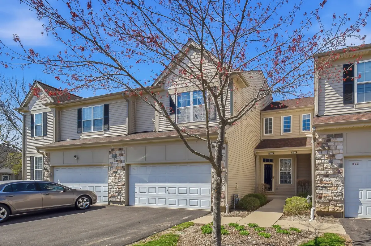 541 Shakespeare Drive, Grayslake, IL 60030 - #1