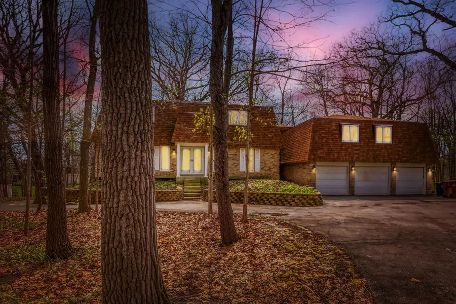 855 Drummore Lane, Frankfort, IL 60423 - #2