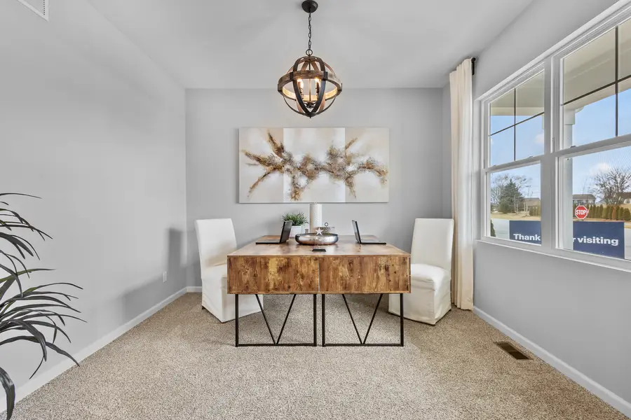 2916 Savana Drive, Joliet, IL 60435 - #2