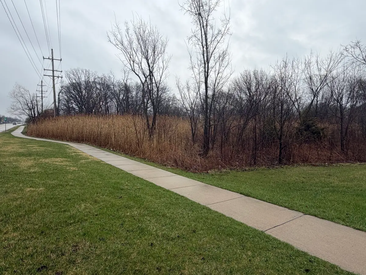 1201 Leinster Drive, Lemont, IL 60439 - #1