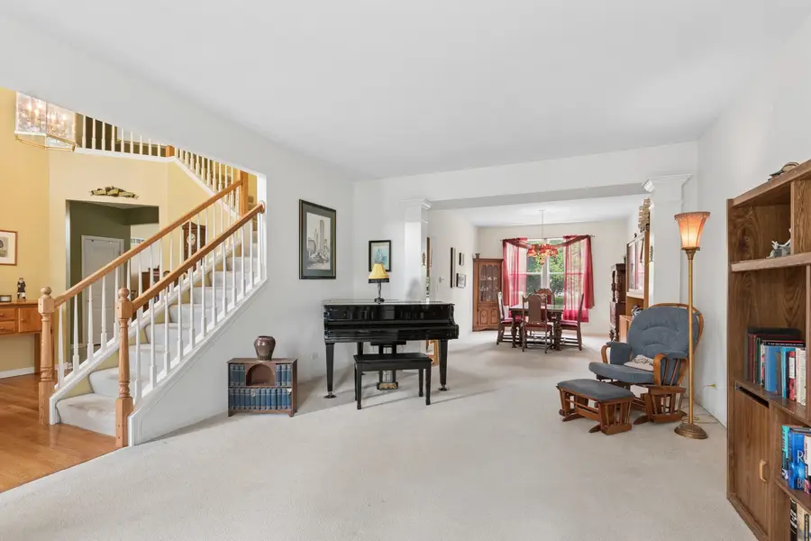 24132 Norfolk Lane, Plainfield, IL 60585 - #2