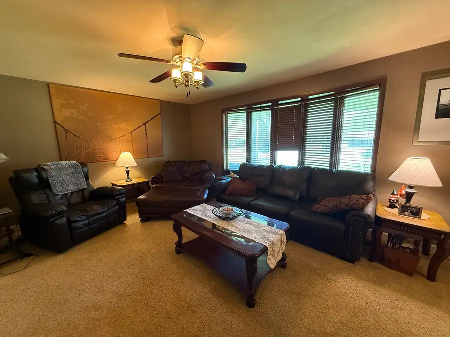 119 W Taylor Street, Dwight, IL 60420 - #3