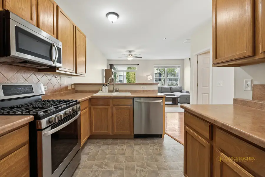 482 Telluride Drive, Gilberts, IL 60136 - #3