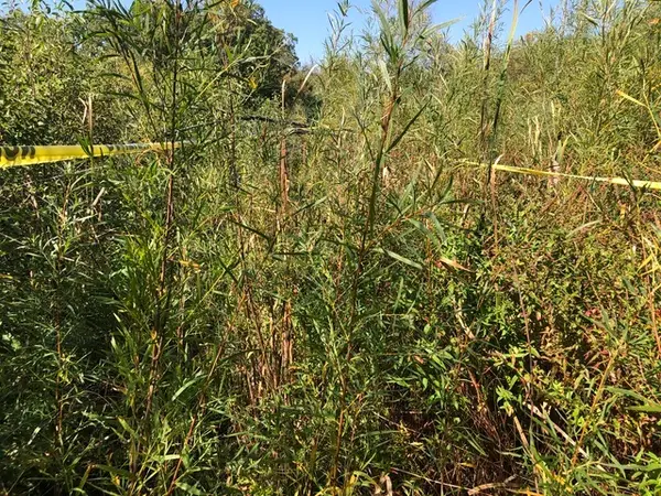 14 Alexandra Drive, Mettawa, IL 60048