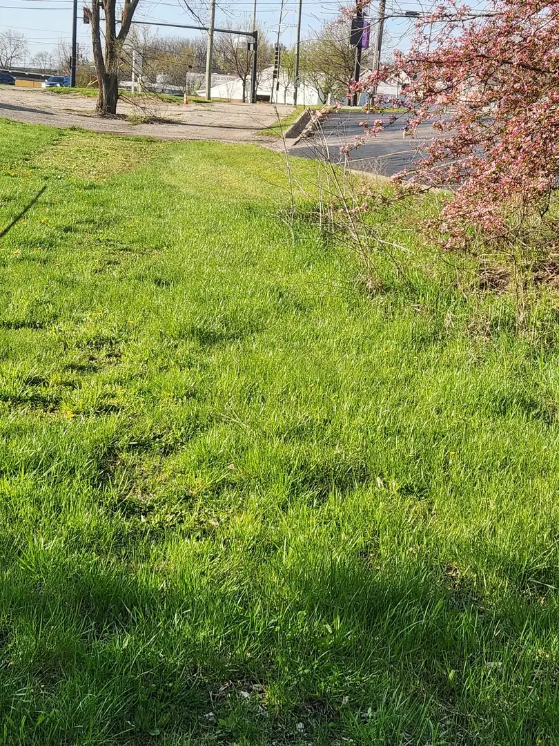 Lot 1 West Elm Street, McHenry, IL 60050 - #3