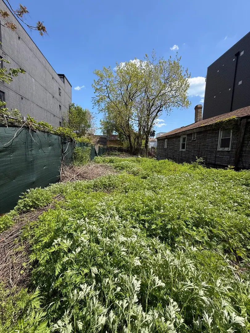 1923 S Jefferson Street, Chicago, IL 60616 - #2