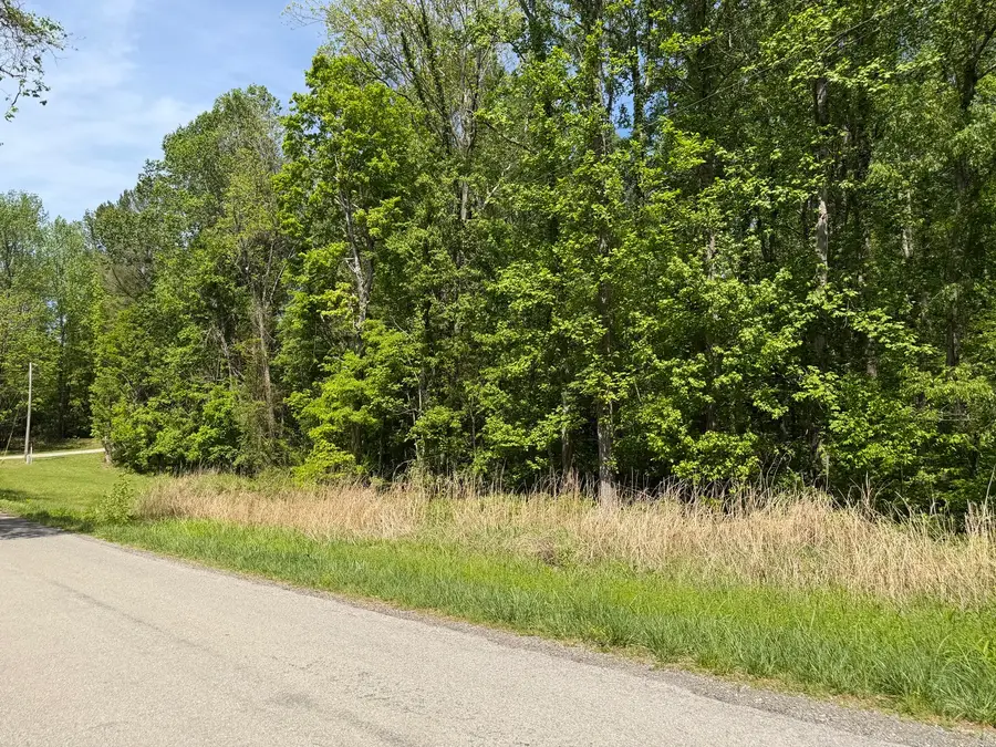 0000 Tower Rock Road, Elizabethtown, IL 62931 - #3