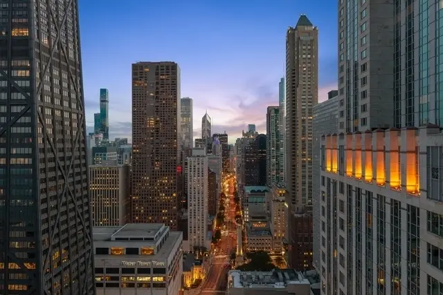 950 N Michigan Avenue #3106, Chicago, IL 60611 - #2