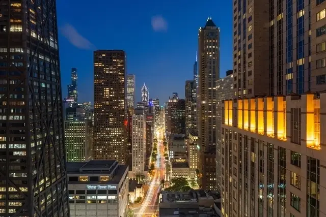 950 N Michigan Avenue #3106, Chicago, IL 60611 - #3