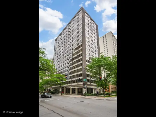 360 W Wellington Avenue #3C, Chicago, IL 60657