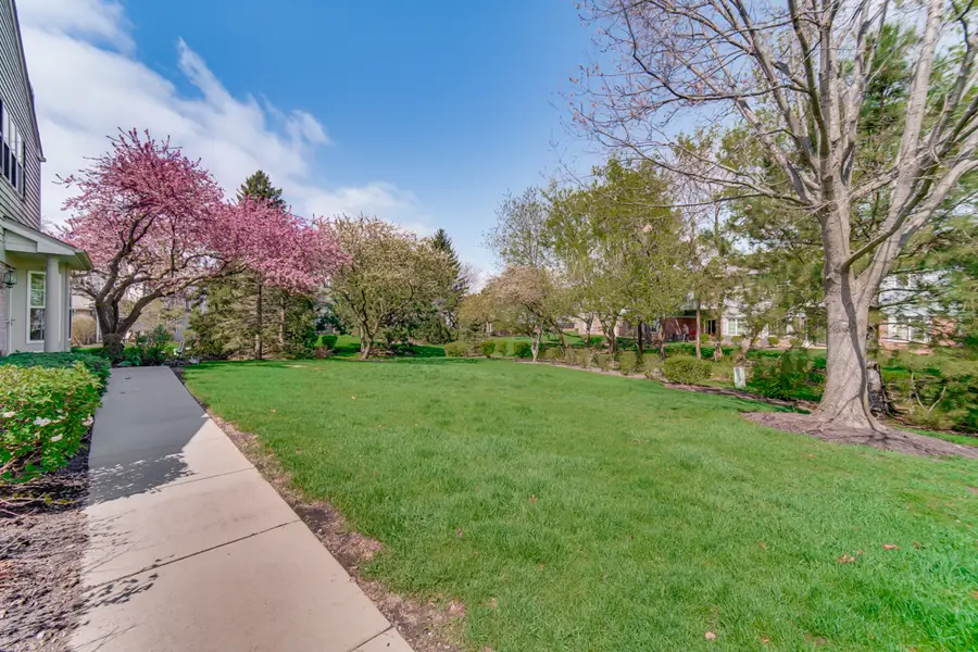 1650 Grove Avenue #A, Schaumburg, IL 60193 - #2