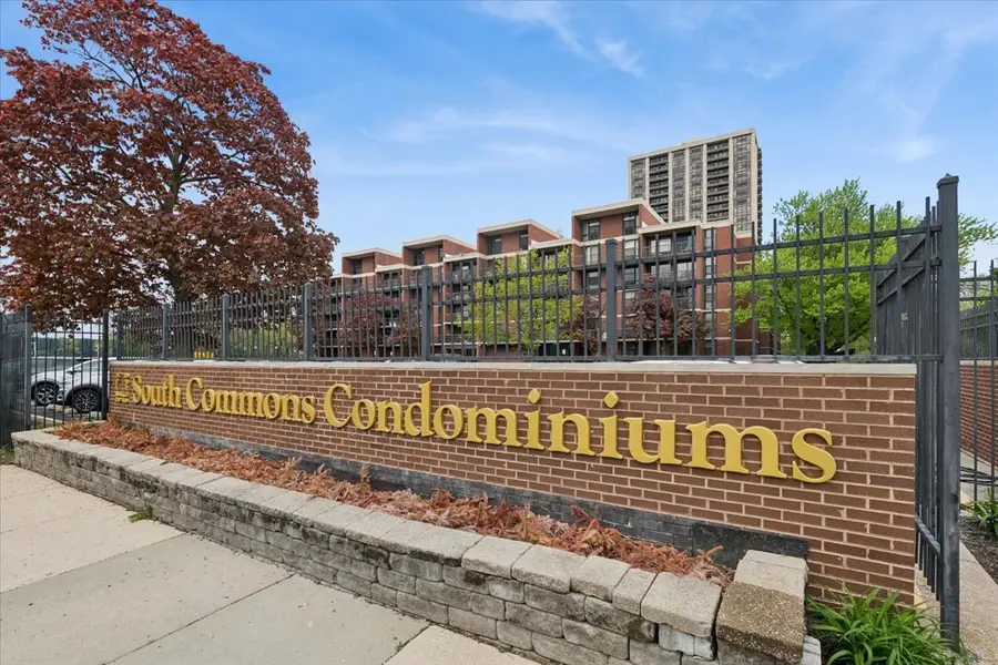 2901 S Michigan Avenue #1010, Chicago, IL 60616 - #3