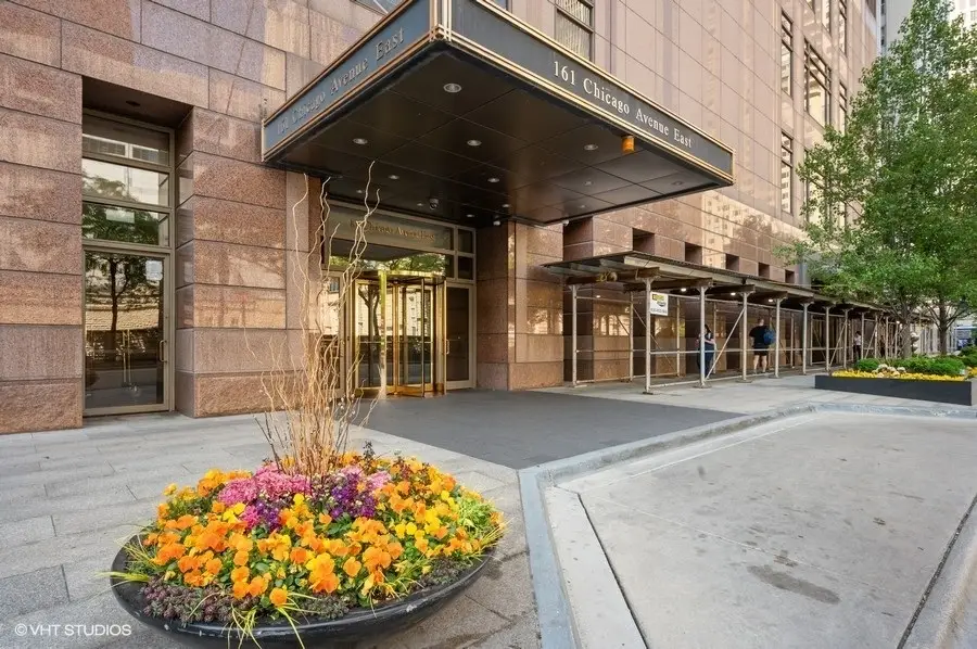 161 E Chicago Avenue #49A, Chicago, IL 60611 - #2