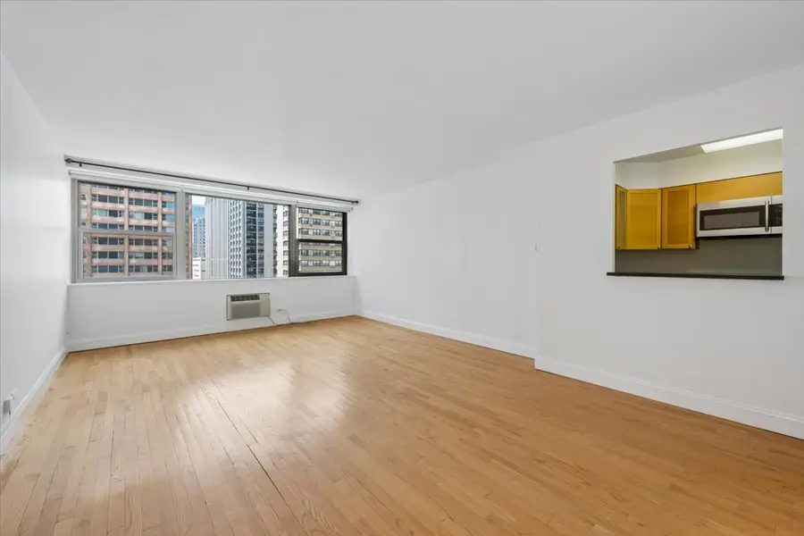 253 E Delaware Place #11F, Chicago, IL 60611 - #3