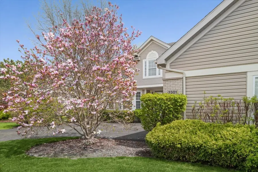 2301 Madiera Lane, Buffalo Grove, IL 60089 - #2