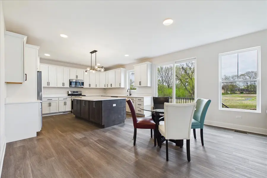 22164 W Casa Bella View, Kildeer, IL 60047 - #3