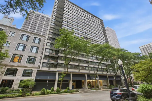 33 E Cedar Street #5B, Chicago, IL 60611