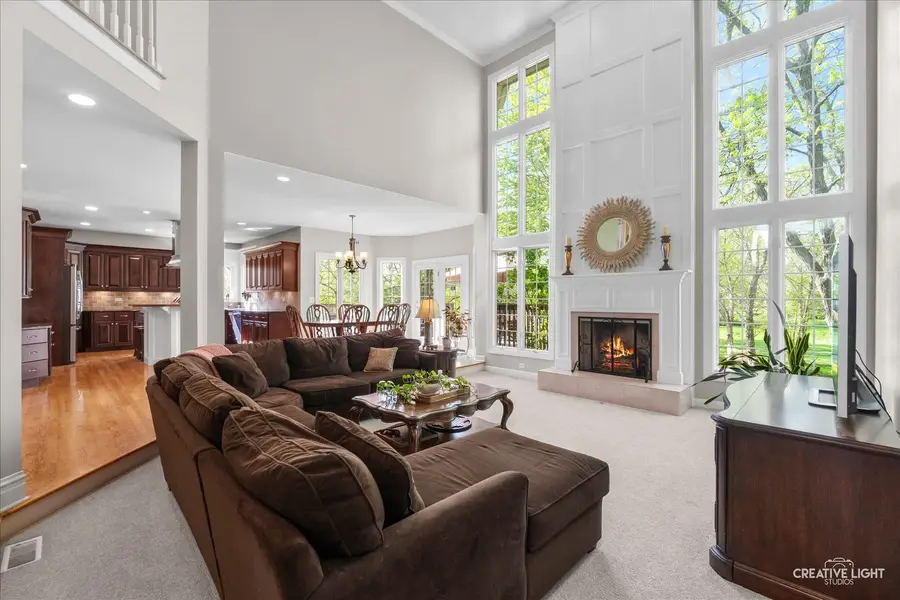 1728 Robert Lane, Naperville, IL 60564 - #3