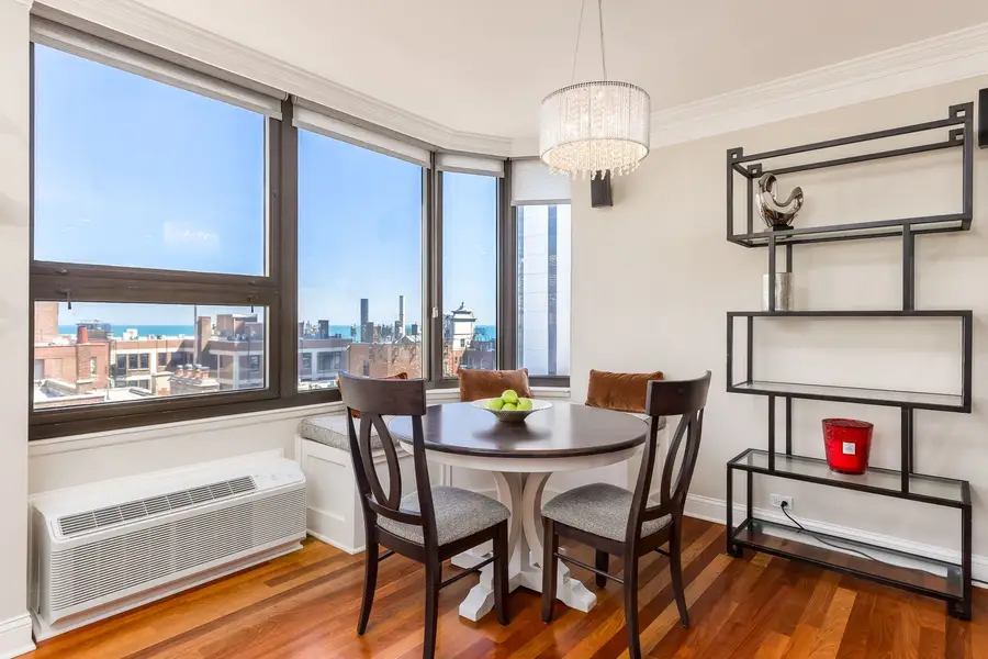 221 E Walton Place #14B, Chicago, IL 60611 - #3
