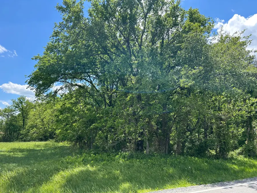 TBD Akin Blacktop, Benton, IL 62812 - #2