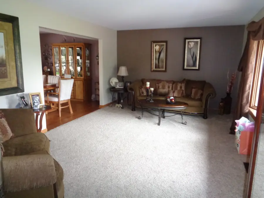 13N470 Chisholm Trail, Elgin, IL 60124 - #3