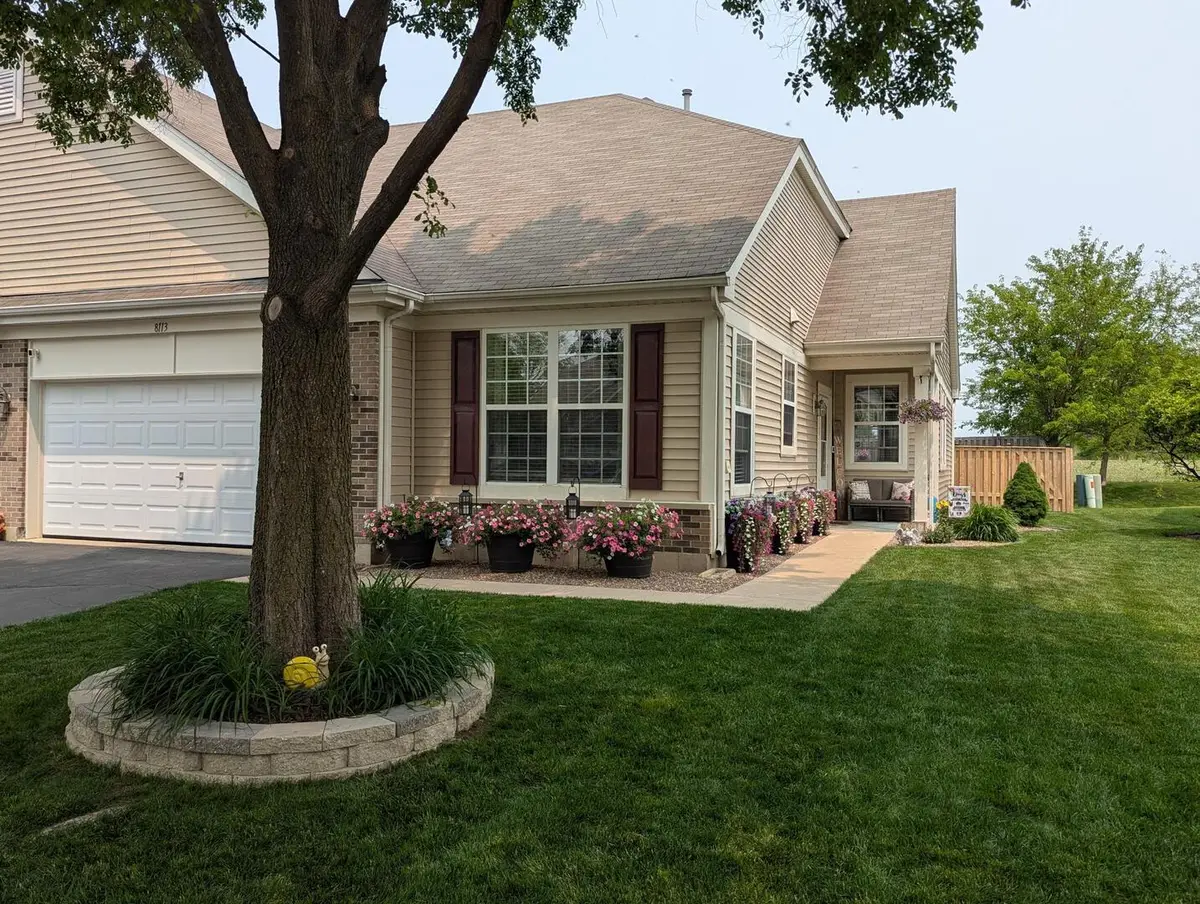 8113 Tremont Lane, Joliet, IL 60431 - #1